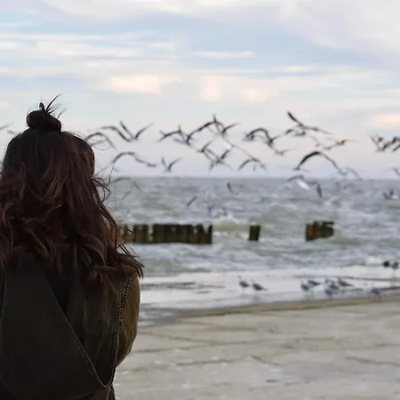 Daire White Pearl 2.13 Timmendorfer Strand