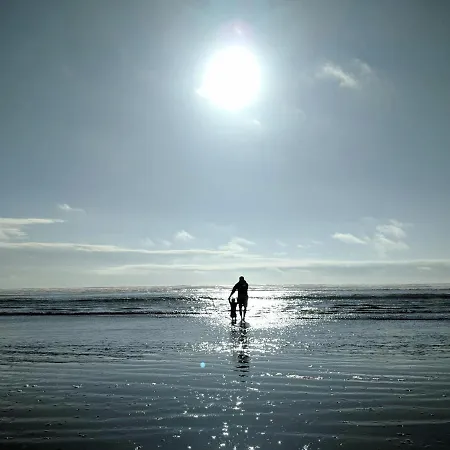 Daire White Pearl 2.13 *