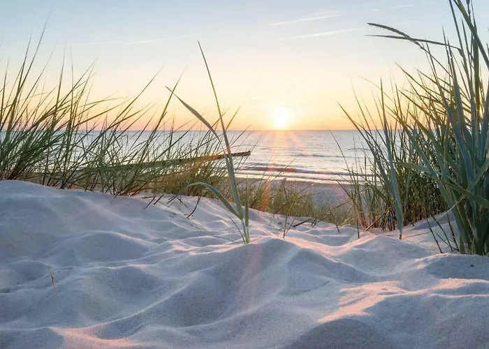 White Pearl 2.13 Daire