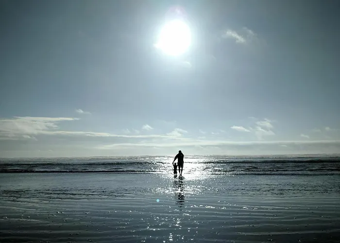 Daire White Pearl 2.13 *